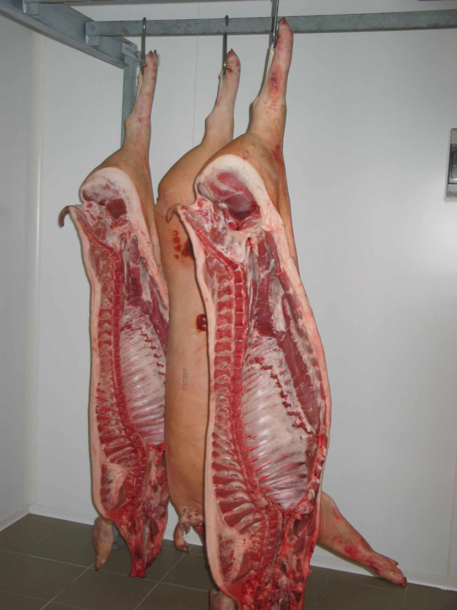 ¼ ou ½ ou 1 carcasse découpée de porc Cul-Noir Alsacien : produit brut