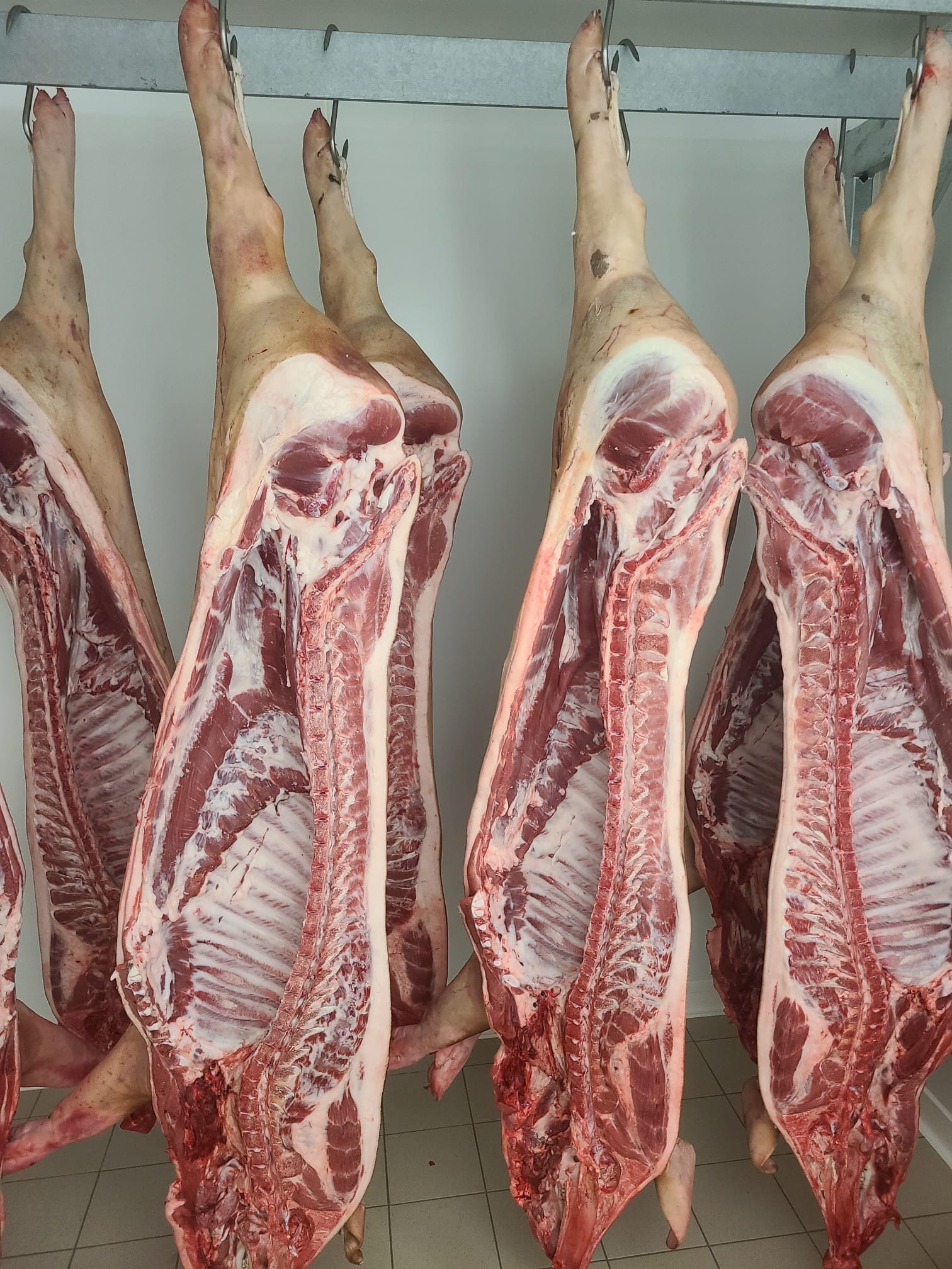 ¼ ou ½ ou 1 carcasse découpée de porc Cul-Noir Alsacien : produit brut