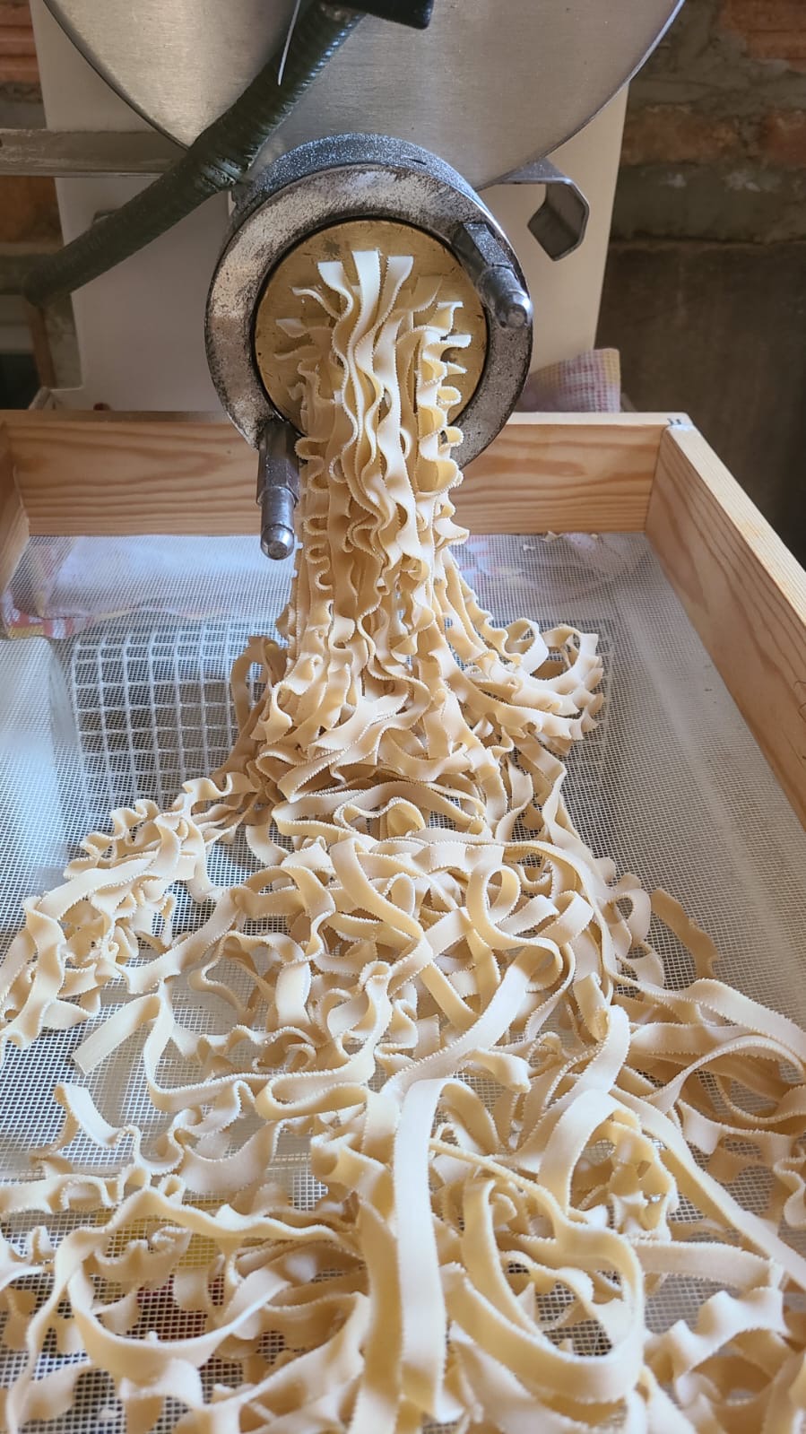 Pâtes de Grand Épeautre : produit brut
